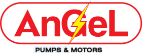 angel-pumps